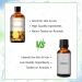 Pineapple Fragrance Oil for Aromatherapy & Diffusers - 100ml Premium Quality Essential Oil for Relaxation, Yoga & Skin Care - Buy Online on GoSupps.com