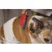 FURemover Handheld Pet Hair Removal Tool - Silicone Lint & Debris Remover Duo - Buy Online on GoSupps.com