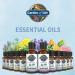 Garden of Life Organic Peppermint Essential Oil 1 fl oz - Pure, Undiluted, Non-GMO for Diffuser & Aromatherapy - Buy Online on GoSupps.com