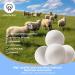 Wool Dryer Balls 6 Pack Reusable Natural Fabric Softener Ball Chemical-Free No Lint for Baby Clothes Laundry Balls for Dryer Anti Static Reduces Wrinkles and Saves Time (White) - Buy Online on GoSupps.com