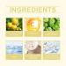 HOYGI Glow Facial Cleanser with Lemon Extract and Vitamin C Brightening Face Wash 100G/3.53OZ with Centella Asiatica Extract - Buy Online on GoSupps.com