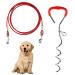EfuturTime plot for dogs large with dog leash 3m pierces dog floor anchor herring for outdoor camping or farms ideal for small to large dogs