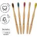 Humble Co. Bambus Toothbrushes 5-Pack | Medium Bristles | BPA-Free | Professional Oral Care & Gum Health - Buy Online on GoSupps.com