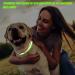 16-Piece High Visibility Reflective Bands for Wrist, Arm, Ankle & Leg - Safety Gear for Night Walking, Cycling & Running - Green & Orange - Buy Online on GoSupps.com