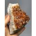 1PC 1PC Natural RAW Citrine Quartz Yellow Quartz Standard Room Decoration (Size : 50-100g) (Size : 1 Count (Pack of 1)) - Buy Online on GoSupps.com