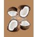 Toasted Coconut Air Roasted Whole Cashews - Lightly Sweetened | 7oz Resealable Bag | Peanut-Free & Kosher | Everyday Nut Snack by Karma Nuts - Buy Online on GoSupps.com