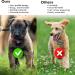 PKQtop Protective Cover for Apple Airtag | Silicone Case for Dog Collar & School Bag | Anti-Lost Luminous Green - Buy Online on GoSupps.com