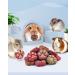 Bissap 20PCS Bunny Chew Toys - Natural Timothy Hay Rose Carrot Fruit Chinchillas Chewing Treats for Rabbits, Guinea Pigs, Hamsters - Small Animal Molar Snacks - Buy Online on GoSupps.com