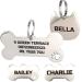 Stainless Steel Engraved Pet ID Tags - Dog Tag and Cat Tag Personalised On Both Sides - Choose Size - Choose Shape (Bone Paw Small)