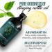 Stinging Nettle Oil for Hair Growth and Skin Care - All Natural 4 oz - Buy Online on GoSupps.com