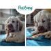 PawGang 100% Natural Rabbit Ears with Fur 500g - Healthy Hypoallergenic Dog Treats - Grain Free and Tasty Chews - EU Sourced - Bulk Bag - Buy Online on GoSupps.com