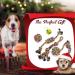 VIEWLON Dog Rope Toy Set - Interactive Chew Toys for Small/Medium Dogs - Mental Health Benefits - Teeth Cleaning - 4 Pcs Mixed-color - Buy Online on GoSupps.com