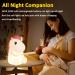 OkiyiD Pony Night Light | Horse Lamp for Nursery | Touch Control Dimmable Bedside Lamp | Rechargeable Horse Gifts for Girls | Birthday Gifts for Boys - Buy Online on GoSupps.com