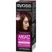  Syoss Syoss Chocolate Touch Up Approach Step 1 (3 x 60 ml) Semi-Permanent 7 Day Root-Free Colour Hair Colour for Quick and Easy Treatment - Buy Online on GoSupps.com
