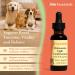 Kan Herb Company Rehmannia Eight Combination Traditional Chinese Herbal Blend for Dogs and Cats to Support Kidney Health Vitality and Hormonal Balance Liquid Herbal Supplement for Pets 1 fl oz - Buy Online on GoSupps.com