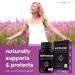 Echinacea Goldenseal 1000mg with Elderberry, Vitamin C, Zinc & Ginger | Immune Boost Vegan Capsules | Premium Echinacea Root Supplement - Buy Online on GoSupps.com