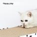 Pawsfans Cat Scratcher Cardboard Scratch Pad with Box - Durable Corrugate Reversible Scratching Pads + Catnip - 3 Pack - Buy Online on GoSupps.com