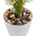 Hisredsun 2.1 lb Natural Polished Pebbles - 0.4-1 inch Decorative Stones for Garden, Aquarium and Vase Fillers - 0.95kg Multi-Use River Rocks - Buy Online on GoSupps.com