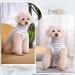 Lyneun Dog Recovery Suit Striped Dog Surgical Recovery Suit Soft Dog Surgical Bodysuit Recovery Suit Dog After Surgery For Allergies Wound Protection Cone Alternative (Grey Medium) Medium Grey - Buy Online on GoSupps.com