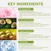 Avocado Moisturizing Cream Ceramide Face moisturizer for Women Hexapeptide Reduce Fine Lines Deep Hydration for Dry & Sensitive Skin Gift of Nourishing Radiance Soothing & Anti-Wrinkle 4.59oz - Buy Online on GoSupps.com