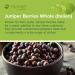 Mimea Juniper Berries Whole | 1kg | Quality Ingredients | Great for Gin Distilling | Natural | No Additives | Herbal Remedy - Buy Online on GoSupps.com