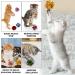 cobee 20 PCS Large Cat Crinkle Ball Toys 6 cm Colorful Cat Toy Balls Interactive Kitten Play Toy Crinkle Balls Cat Toy for Indoor Cat - Buy Online on GoSupps.com