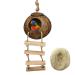 Hanging Bird House with Ladder,Natural Coconut Fiber Shell Bird Nest Breeding for Parrot Parakeet Lovebird Finch Canary,Coconut Hide Bird Swing Toys for Hamster,Bird Cage Accessories,Pet Bird Supplies