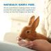 Equa Holistics HealthyGut Probiotics for Rabbits - All-Natural Digestive System Formula | 120 Servings - Buy Online on GoSupps.com