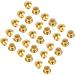 eBoot 30pc Golden Locking Pin Keepers Backs - No Tool Needed - Buy Online on GoSupps.com