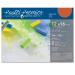Speedball Art Products Premier Sanded Pastel Paper 12 x 16 Terracotta 6 Count