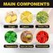 Herbal Detox Foot Soak Beads - Cleansing and Shaping Formula | 10Pcs/2Packs - Buy Online on GoSupps.com
