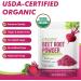 Beet Root Powder 8 Ounce | Natural Energy & Endurance Boost Supports Circulation Balance Skin Oil and Promote Natural Radiance | Beetroot Powder for Smoothies Baking & Juice Non-GMO Vegan 8 Ounce (Pack of 1) - Buy Online on GoSupps.com