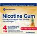 Member's Mark 4mg Nicotine Gum Coated Fruit Flavor (300 ct.) - Quit Smoking Aid - Buy Online on GoSupps.com