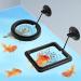 Molain Fish Feeding Ring - 2 Pieces Aquarium Food Feeder Circle for Guppy, Bettas, Goldfish, Turtle - Buy Online on GoSupps.com