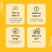PACK 3 x Natural Aphrodisiac Ginseng for Men Erection 90 Capsules - 3 Months | Panax Korean Red Ginseng Supplement Belgium Grown High Ginsenosides | Optim Ginseng - Buy Online on GoSupps.com
