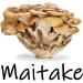 Earth Cap Mushrooms Sunrise 6 Mushroom Supplement Capsule - Chaga Cordyceps Lion's Mane Maitake Reishi Turkey Tail Real Fruiting Body - No Fillers - Buy Online on GoSupps.com