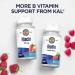 KAL Vitamin B6 B12 Folic Acid DropIns Liquid Supplement - Heart Health Support, Energy Boost - Methyl B12, Folate - Natural Berry Flavor - 59 Servings - 2oz - Buy Online on GoSupps.com