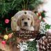Personalized Dog's First Christmas Photo Ornament | Custom Pet Memorial Gift 2022 - Buy Online on GoSupps.com