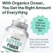 Better Fiber Daily Supplement - Soften Stool & Promote Effortless Bowel Movements - Psyllium Husk & Slippery Elm - 90 Capsules - International Shipping Available - Buy Online on GoSupps.com