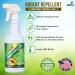 16oz Spritz Rodent Repellent with Peppermint Oil - USA Made Non-Toxic Solution for mice, Rats, Raccoons, Ants and More - 1 Count Pack - Buy Online on GoSupps.com