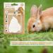 BPS 2X Calcium Block for Rabbits and Rodents Teeth Grinding Natural Calcium Block Basic Supplement BPS-4128 * 2 - Buy Online on GoSupps.com