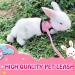 Adjustable Rabbit Dishes - 2 Pack with Leash for Small Animals & Kittens | Best Pet Supplies for Rabbits - Buy Online on GoSupps.com