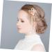 MAGICLULU 2 Pairs Comb Washing Capsules Aesthetic Hair Accessories Wedding Headwear Traditional Chinese Hairpin Chinese Girl Hair Accessories Flower Hair Clip Pair Clip Classical Metal - Buy Online on GoSupps.com
