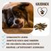 Petlove Ochsenziemer for Dogs 1kg | 100% Meat Dog Snacks | Grain-Free Dried Beef Chews | BARF Snack for Dogs - Buy Online on GoSupps.com