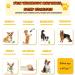 Leipple 20 Pack Luxury Dog Chew Toys for Puppy Cute Small Dog Toys with Ropes Puppy Chew Toys Interactive Dog Toys and Squeaky Puppy Toys for Small Dogs B-Style - Buy Online on GoSupps.com