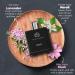The Man Company Black EDT Perfume For Men - 100ml | Premium Long-Lasting Fragrance Spray | Gift for Him - Buy Online on GoSupps.com