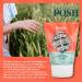 Perfectly Posh Sandalwood and Lavender Hand Cream - Gentle Moisturizer - Buy Online on GoSupps.com