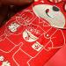 TORR 4 Pcs Chinese Red Envelopes for Lunar New Year 2022 Year of the Bao Packet Lai See for Spring Festival A - Buy Online on GoSupps.com