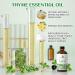 EVOKE OCCU Tea Tree Essential Oil and Thyme Essential Oil - 4 Fl Oz - Buy Online on GoSupps.com