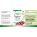 Fairvital Cranberry Capsules 400mg - High Dose Vegan Supplement | 90 Capsules for Urinary Health - Buy Online on GoSupps.com